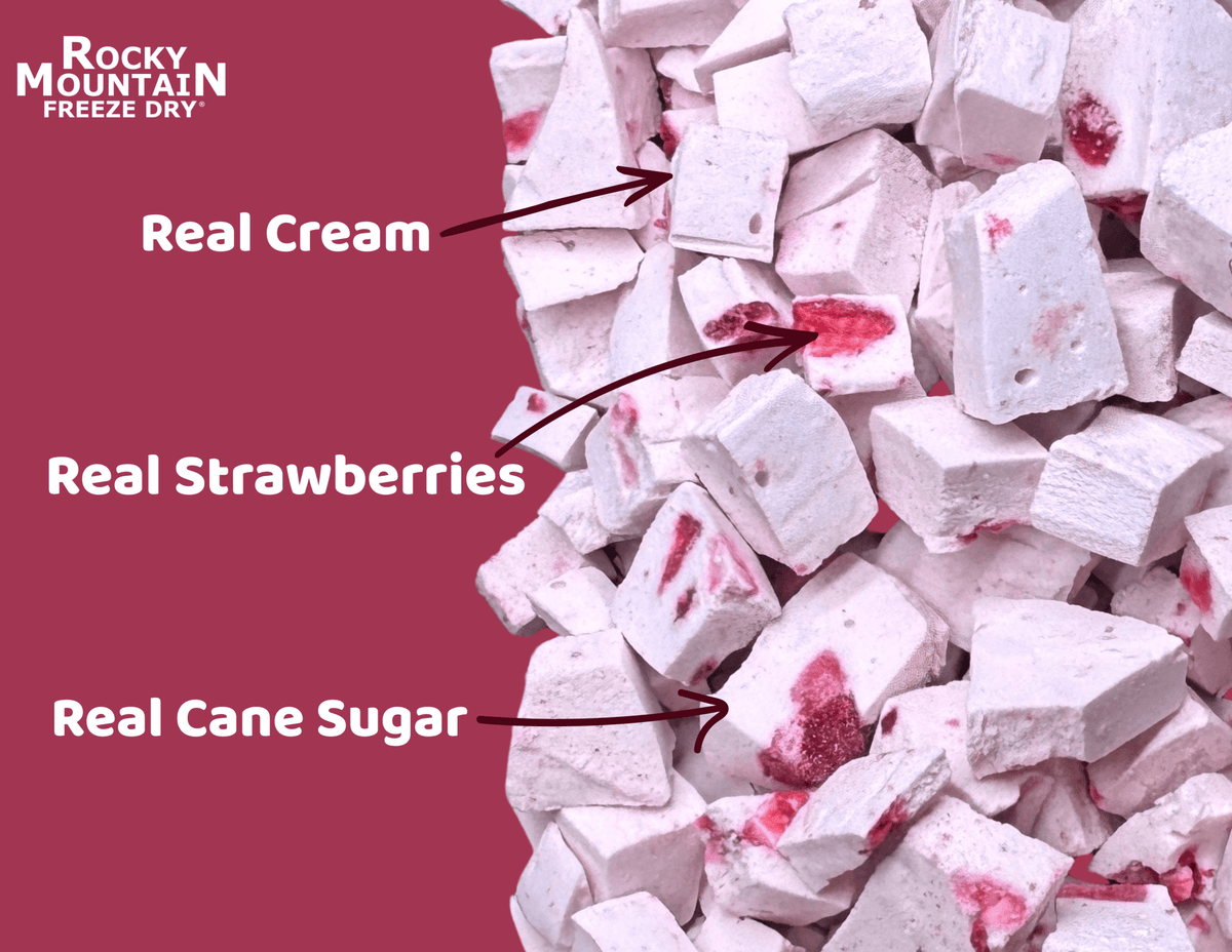 Strawberries & Cream Freeze Dried Ice Cream | 1 oz Pack - Rocky Mountain Freeze Dry